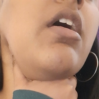 anita_haadik Nackt