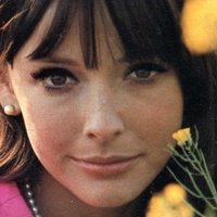 Brenda Scott Nackt